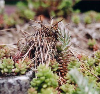 Fotos (2): Alexander Matz