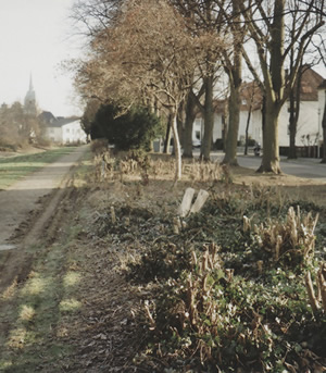 Grün 01